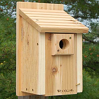 Bluebird Houses